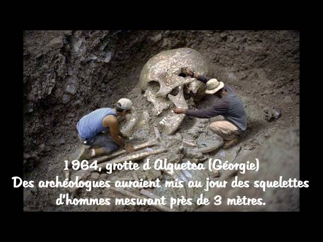 squelettes géants