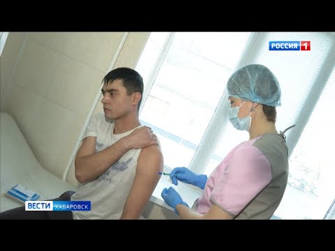 Вакцинация от клещевого энцефалита стартовала в Хабаровском крае