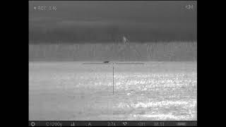 Dog 2 w 6 ARC....164 yds