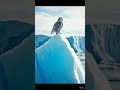 POV: Your 2028 polar expedition just got locked in.