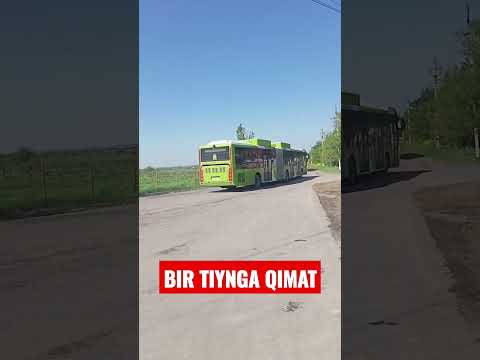 Video: Avtobus bekati: turlari va GOSTlari