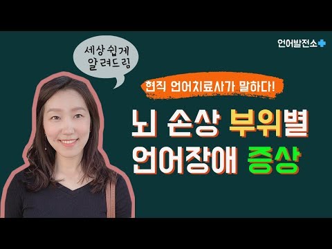 뇌 손상 부위에 따른 언어장애 증상 (초간단 설명) | 현직 언어치료사