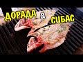 Рыба СИБАС и ДОРАДА 🔥 Это оОчень вкусно. Рецепт 🔥🔥