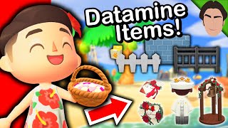 Custom Fences in 1.10 Update Datamine!! Animal Crossing New Horizons