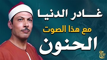 صوت قرآني نادر يخطف القلوب 💓 تلاوة مؤثرة بصوت جديد يستحق الاكتشاف🎙️📿 beautiful voice