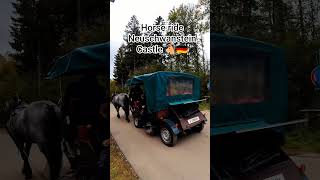 Horse ride in Bavarian castle 🏯.This is how people go up to Neuschwanstein Castle 🐴🇩🇪