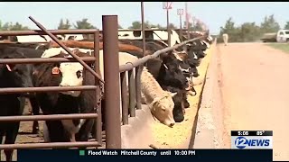 Kansas Congresswoman discusses screwworm in House ag committee