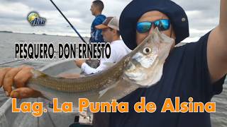EN EL PROGRAMA DE HOY LAGUNA LA PUNTA DE ALSINA, PROV BS AS.