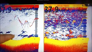 TRANSDUCER COMPARISON -TM165 High Wide CHIRP Vs.B175 Medium CHIRP.