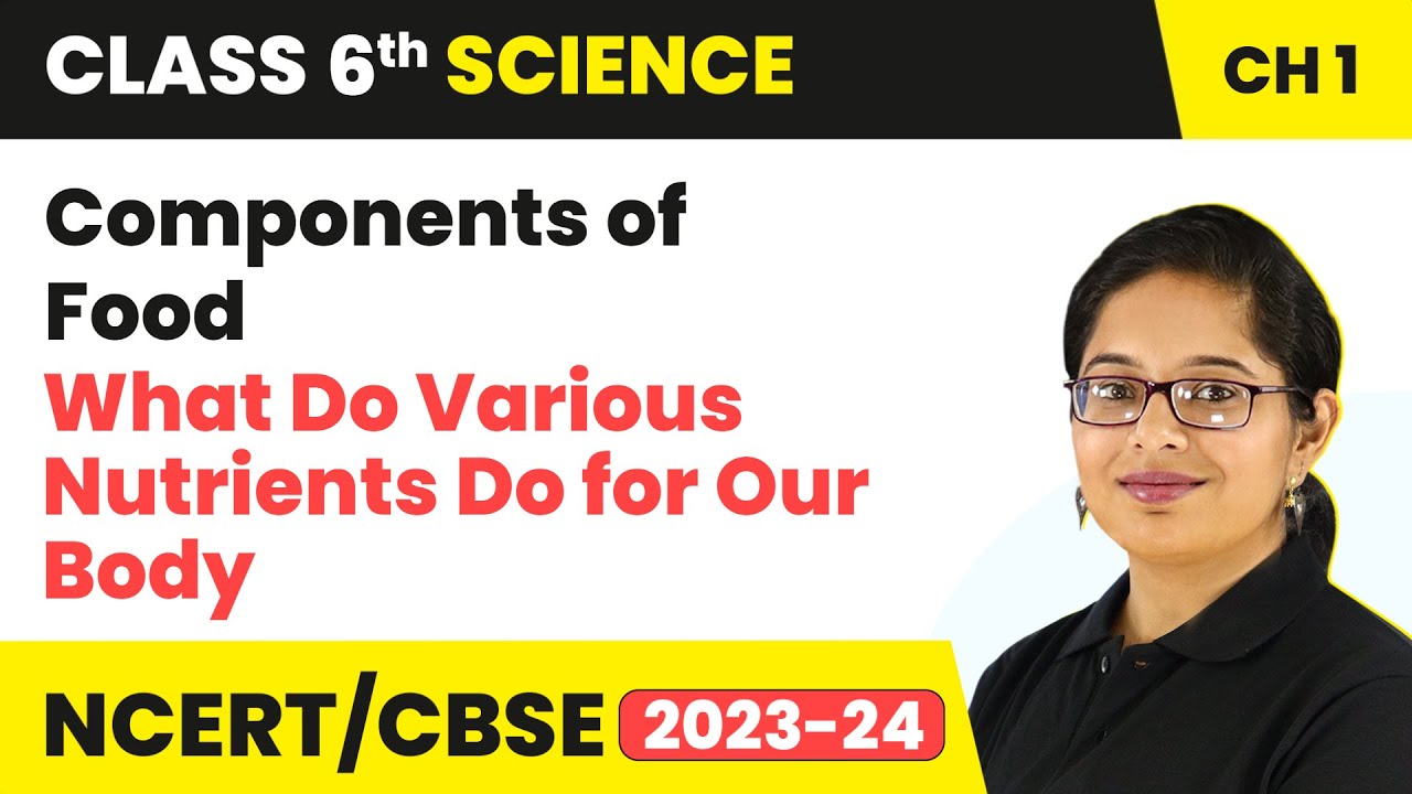 What Do Various Nutrients Do for Our Body - Components of Food | Class 6 Science Chapter 1