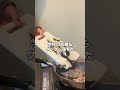 ADHDで家族が壊れました…