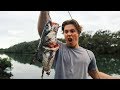 Food Chain Fishing Challenge - Tiny Fish to River Monsters