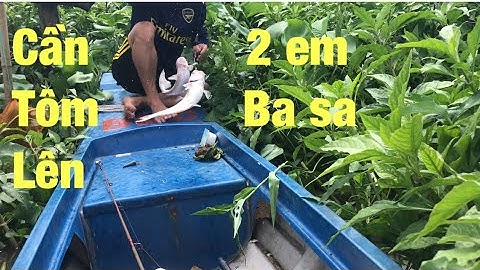 Câu cá ổ sông Tiền trúng ổ cá Basa lên sướng tay | Tiền Giang Fishing