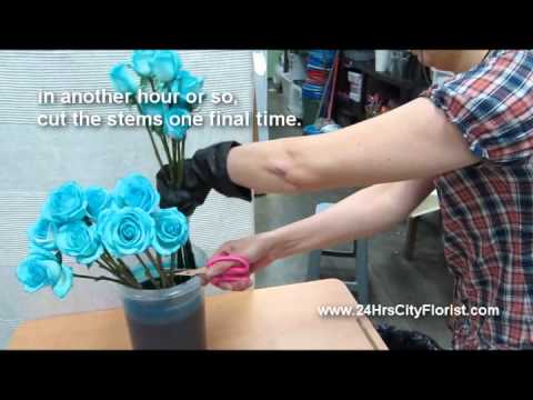 What Tiffany Blue Wedding Roses