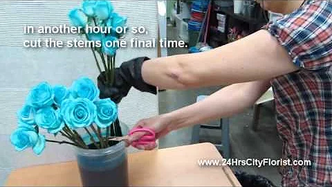 How To Create Blue Rose by 24Hrs City Florist Singapore