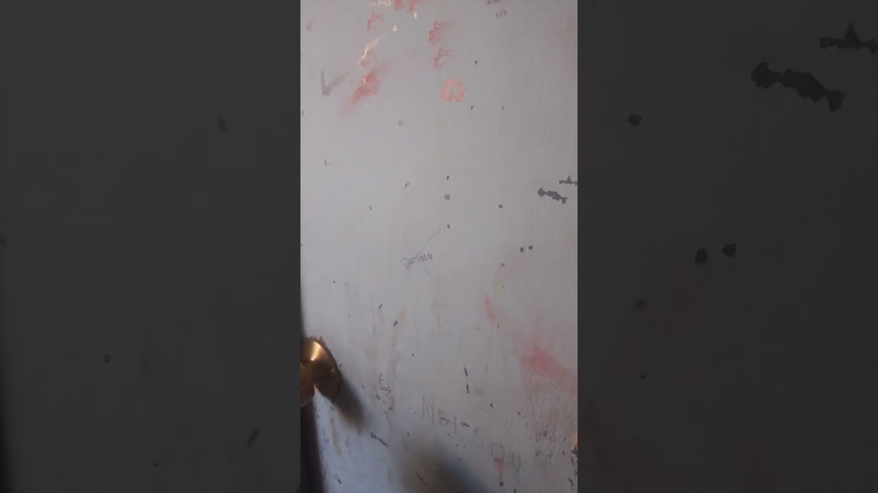 cuando Sonic no se quiere vacunar