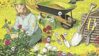 Oxford dictionary | Lesson 27: A Yard | Learn English | Oxford picture dictionary