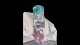 Tourmaline with Quartz and Albite | Fine Art Minerals | Fine | Mineral | Specimen |