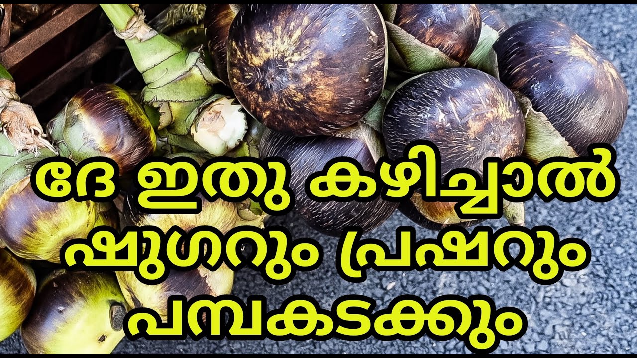 Tender Ice Appleപനം നൊങ്ക് Palmyra Palam FruitBlood Sugar And Blood