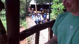 Giraffe feed mouth.AVI