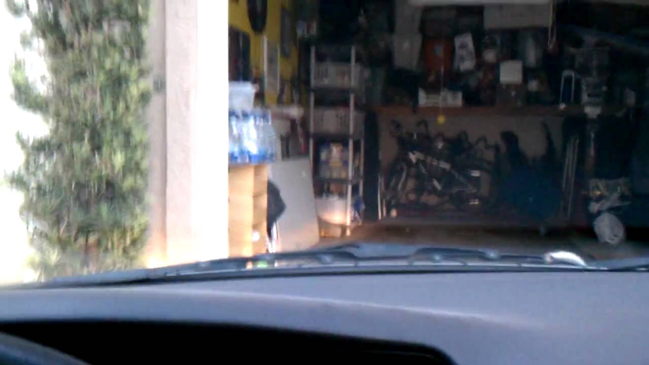 Lizard on My Windshield - YouTube