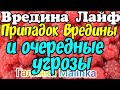 Вредина Лайф /Припадок Вредины и очередные Угрозы /Обзор Влогов /Вредина /