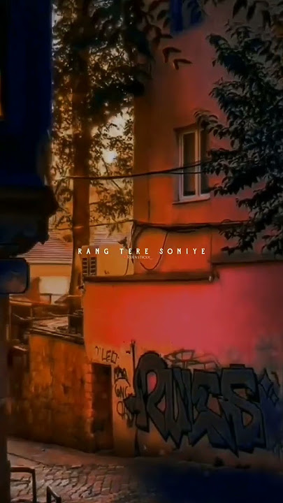 waalian❤|tere naal chaliye haseen koi na❤ #shorts #aesthetic #reels #status #tiktok #lofi #ytshorts
