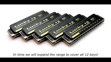 The LUCKY 13 (Bass Blues Harmonica): Two Harps in One!