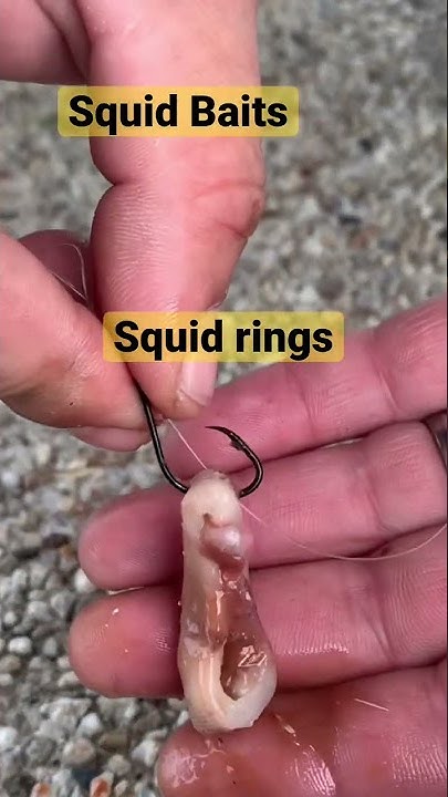Squid Bait Presentation - YouTube