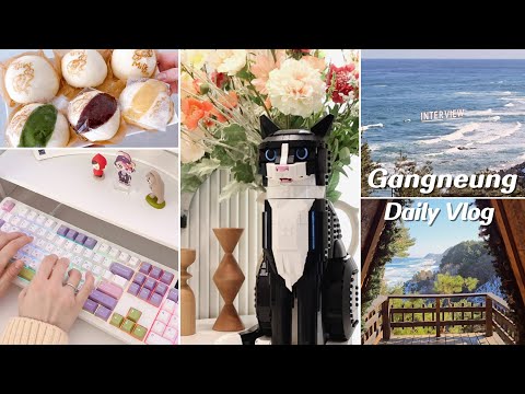 [VLOG] 도각도각 아콘AK74 키보드 추천 ▶️ㅣ어른이의 취미생활 고양이 레고🐈l 정동진 가면 꼭 가야 할 카페는?🏕️