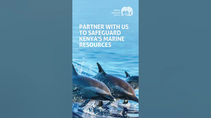 Partner with us to Safeguard Kenya's Wildlife, Ecosystems & Marine Resources.
