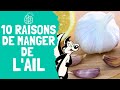 10 raisons de manger de lail 