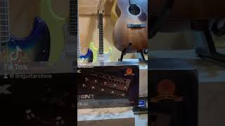 Fuzz Nux Trident về khách Tây Ninh #NuxTrident #FuzzNux