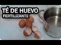 Abono Casero Con Cascara De Huevo Aporte De Calcio || La Huertina De Toni