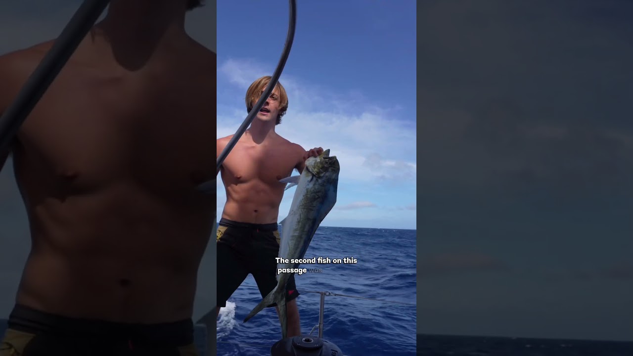 Day 15 sailing across the Pacific Ocean