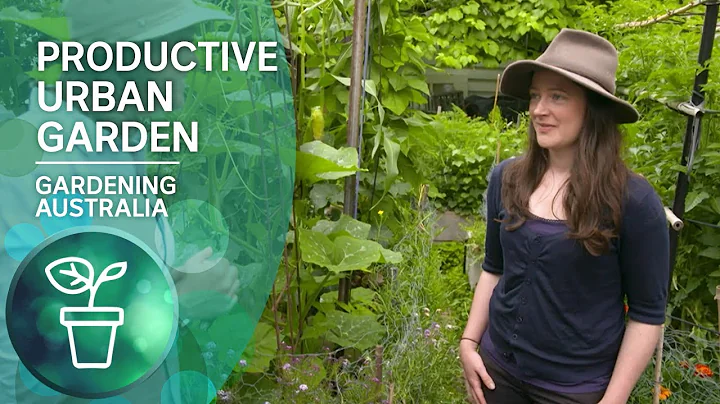 A highly productive small-scale urban garden | Urb...