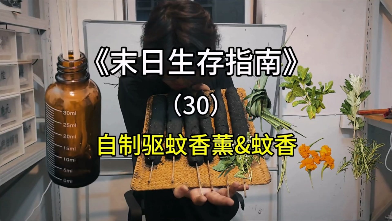 想象一下，在末日一只咬了丧尸的蚊子又飞过来咬了你一口【刘惟与】