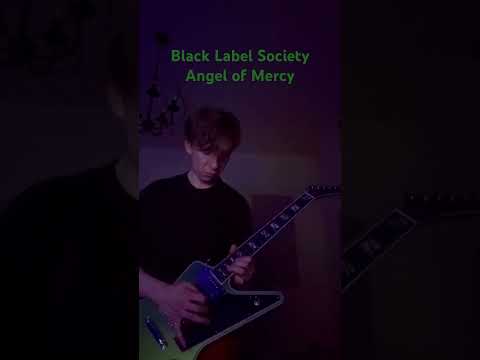 🔥Love this solo! Black Label Society - Angel of Mercy 😍