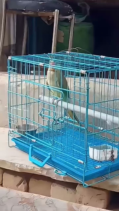 JD candidate you are interested in the same or similar listings or kiya I