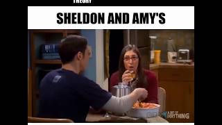 Sheldon And Amy's Date Night Experiment - The Big Bang Theory