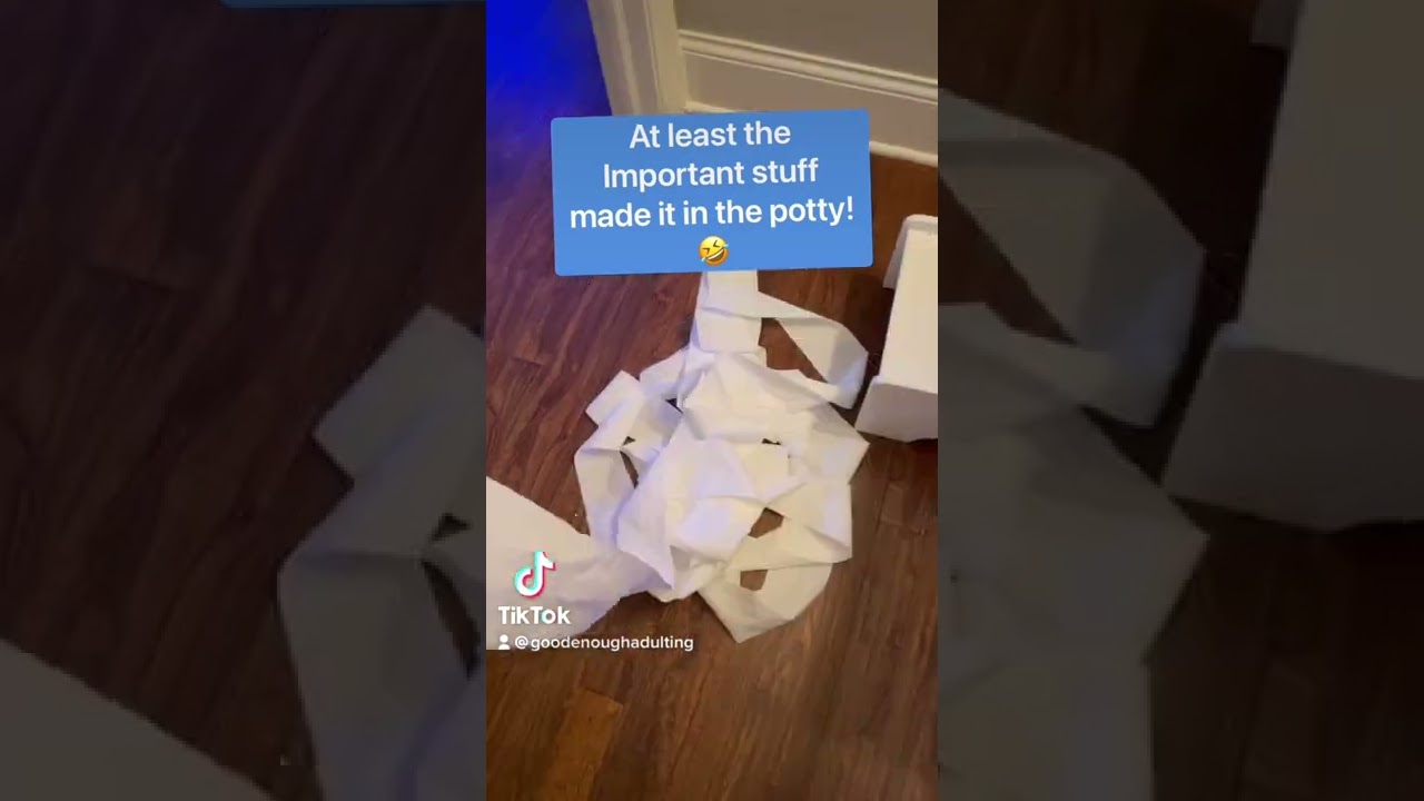 Potty training drama! Just another day! Toilet paper! 