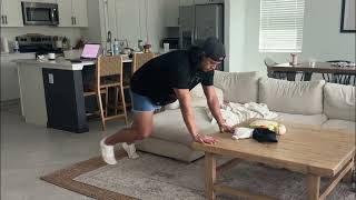 Hands Elevated Full Plank Toe Taps