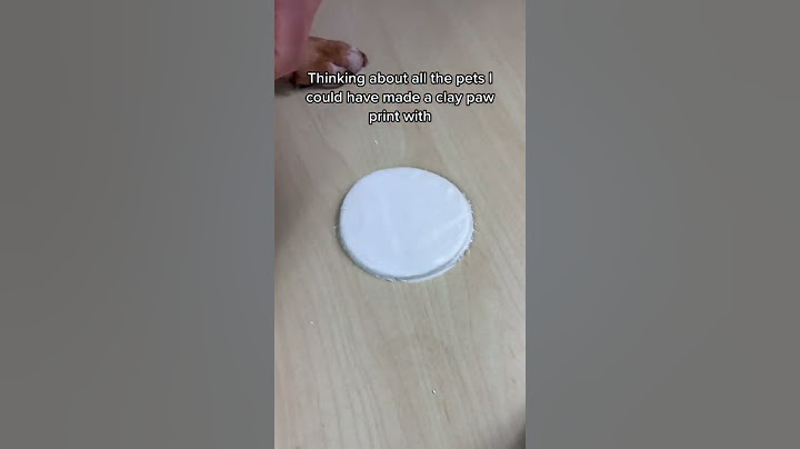 Clay paw print #shorts #shortsfeed #pets #youtubeshorts #shortsfeed #petshorts #dogshorts