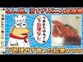 なんＪ民、沼で野生のアメリカザリガニを大量捕獲→下処理せず食った結果ｗｗｗ【ゆっくり】【2ch面白いスレ】