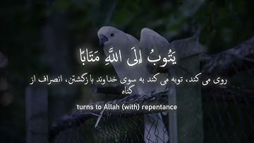 تلاوة سورة الفرقان الآيات 68-77 Surah Al-Furqan