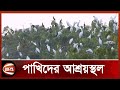       narail bird news  channel 24