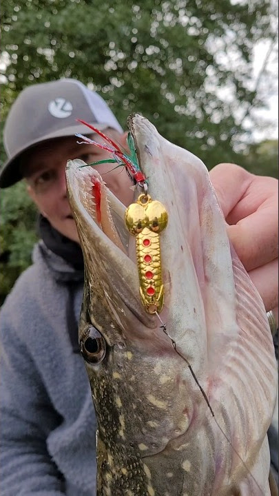 Penis Blinker bringt Hecht! Dick Lure / Fun Lure 🫢! Angeln #angeln #fishing