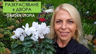 картинка: РАЗКРАСЯВАНЕ в ДВОРА: #Ден 51 от 90 ДНИ НА СЕЛО