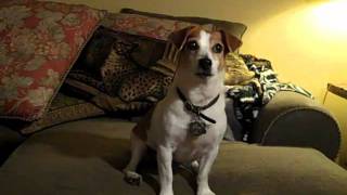 Anastasia audition video