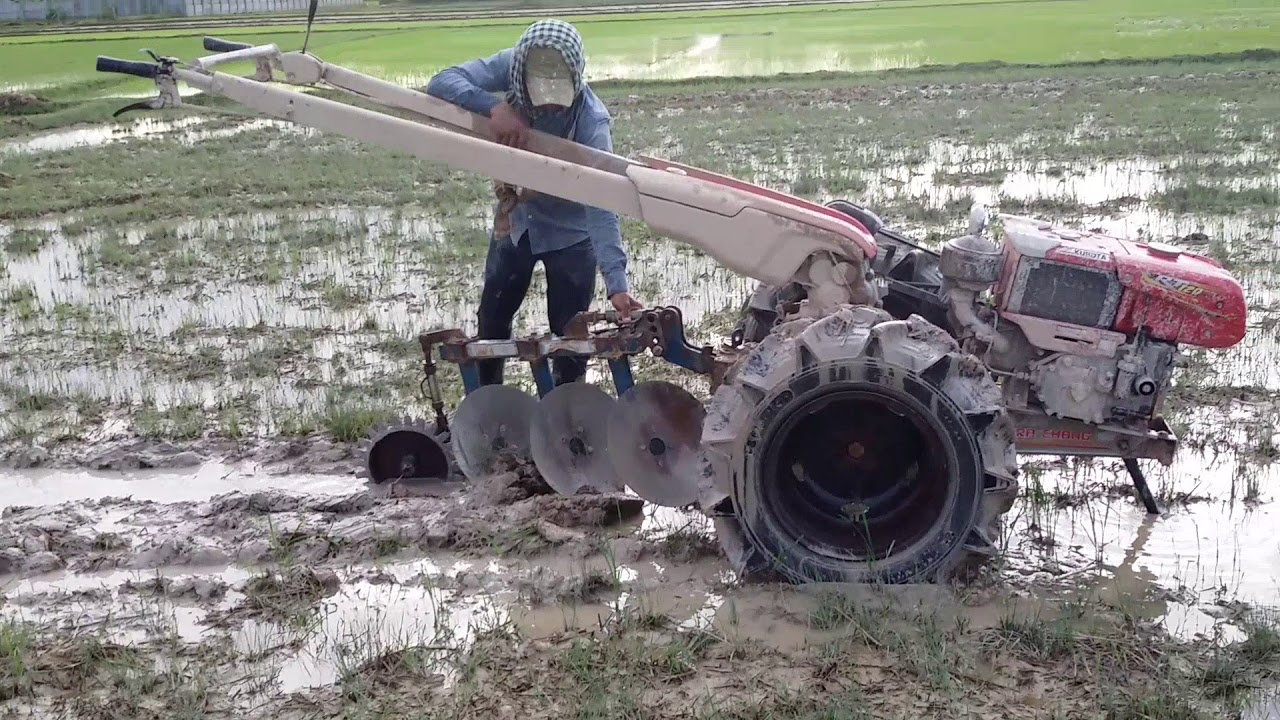 Traditional Farming in Cambodia/ploughing before seeding